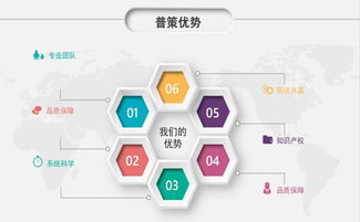 技術(shù)服務(wù)創(chuàng)業(yè) 高利潤項(xiàng)目與盈利指南